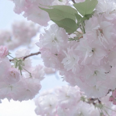 兽设场景氛围营造教程福瑞交流群